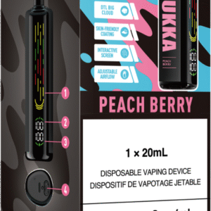 oxbar oxhukka disposable vape peach berry