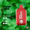 WAKA SMASH 6000 PUFF – FRESH MINT fresh mint 1.png
