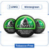 Grizzly Wintergreen 12 mg Nicotine Pouch grizzly wintergreen 12 mg nicotine pouch.jpg