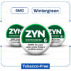 zyn 6 mg wintergreen 5ct.jpg